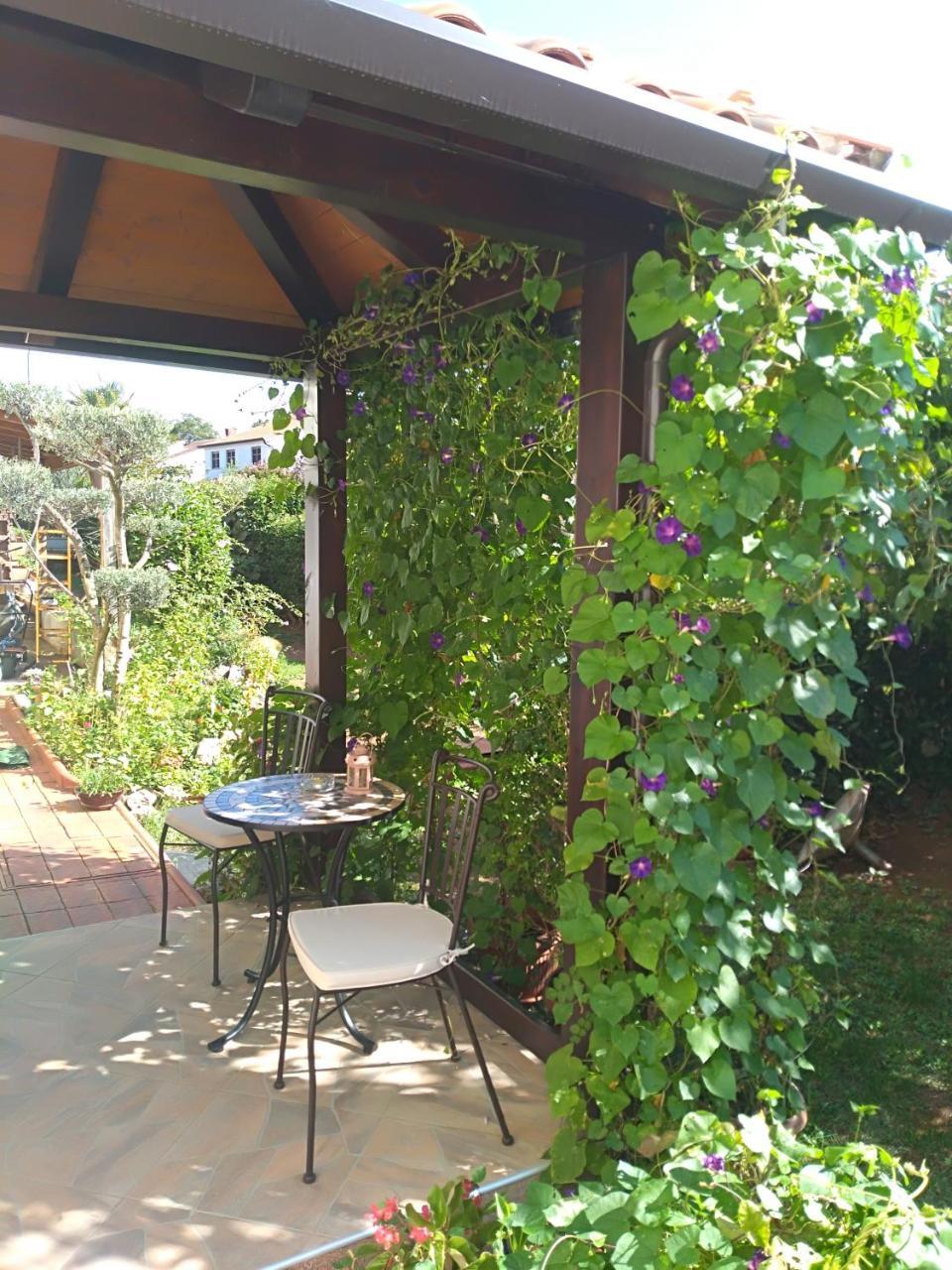 Apartment Jasna Porec Exterior photo